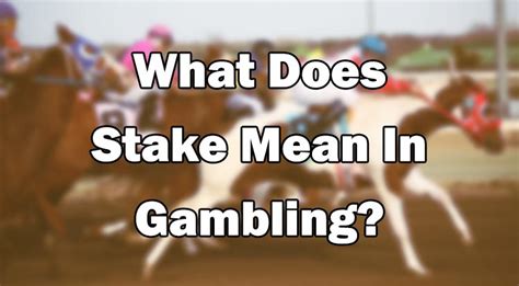 stake me meaning in gambling